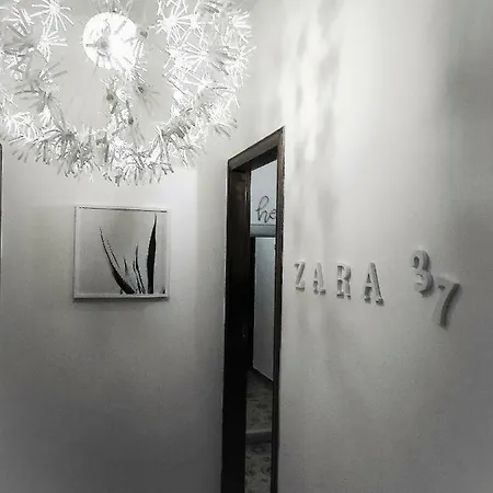 Zara 37 아파트 콘베르사노